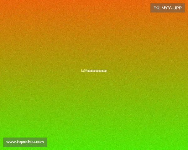 KSV电竞豪门：全新征程蓄势待发